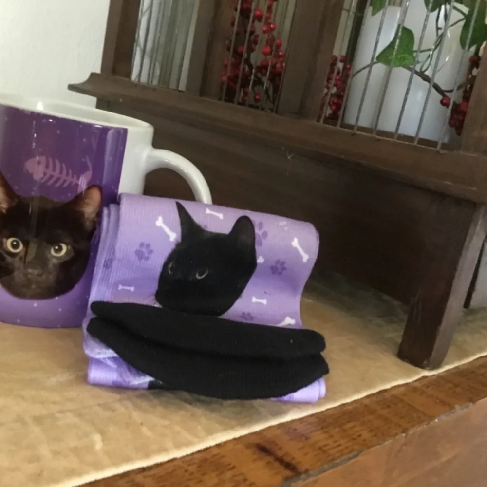Boutique includes purple